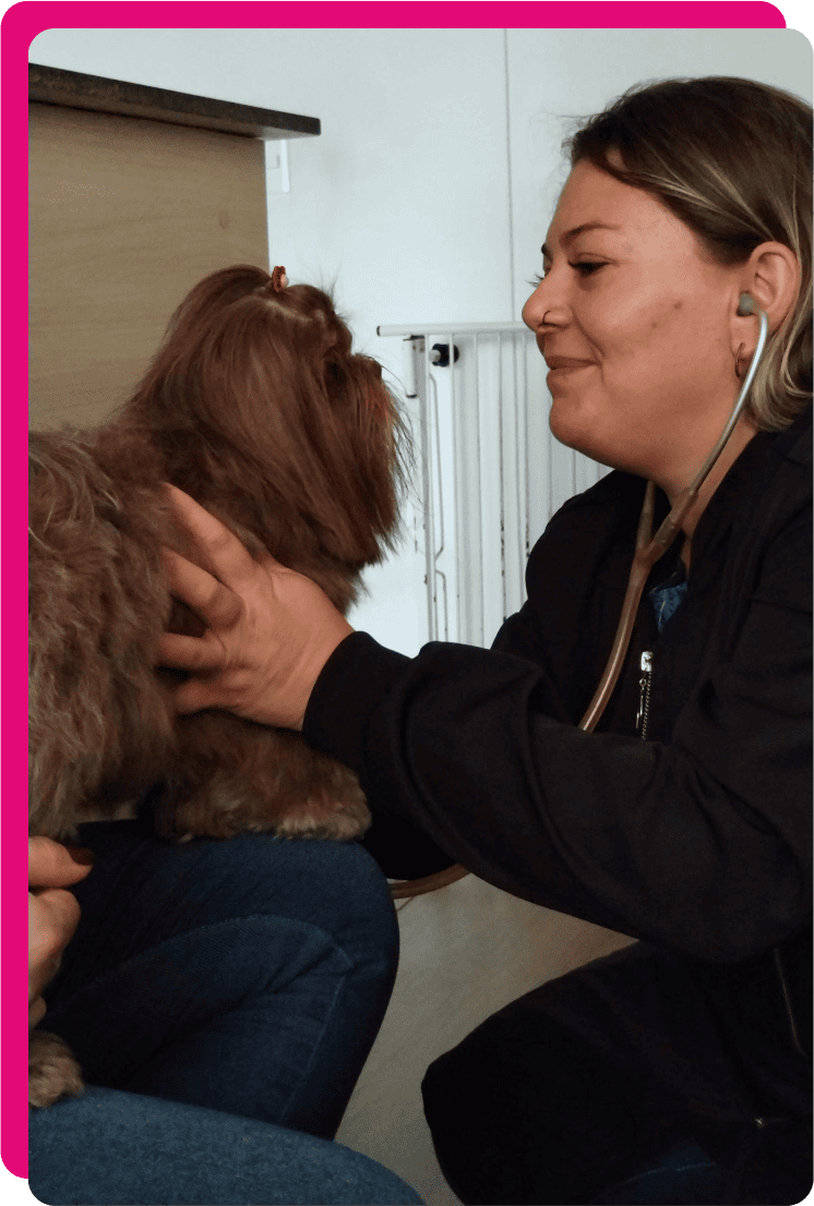 furts_veterinaria_imagem_galeria_11